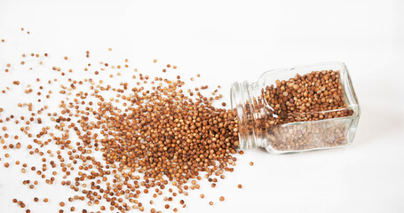 Coriander, coriandrum sativum, seeds falling against White Background
