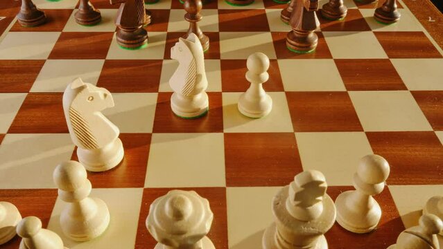Debut in chess with the name Scottish Party, stop motion