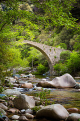 Fototapeta na wymiar Ponte de Pianella, an old Genovese stone bridge over the River Porto near the village of Ota, Spelunca Gorges, Corsica, France, Europe
