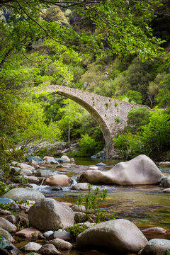 Ponte de Pianella, an old Genovese stone bridge over the River Porto near the village of Ota, Spelunca Gorges, Corsica, France, Europe