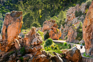 Motobiker on road among the rocks of Calanche de Piana, Les Calanques de Piana in Corsica, France - obrazy, fototapety, plakaty