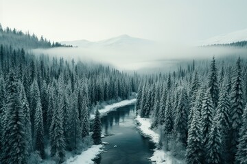Fototapeta premium Aerial view photography of Pine Trees Covered With Snow in froggy forest with river and mountains 