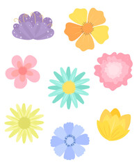 set of different flowers