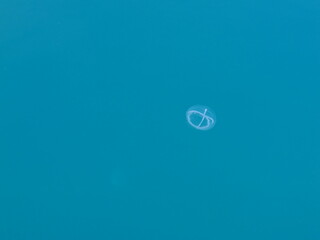 Norvège - Svolvaer - Skrova - Skutvik