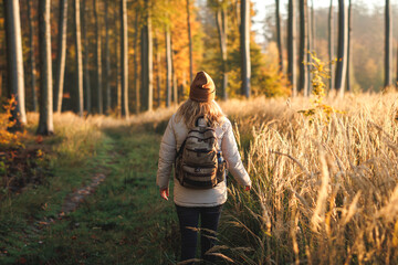Woman with backpack hiking in autumn forest. Hiker walking on footpath in woodland. Golden sunrise...
