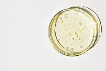 Petri dish with oil and drops of water, white background, copy space