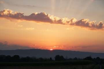 beautiful sunrise landscape in summer