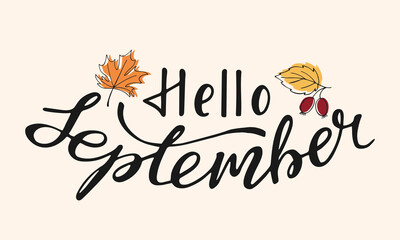 Hello september handwritten lettering text. Fall composition with hand drawn black inscription and linear leaves. Seasonal background with inspiration phrase © Svetlana