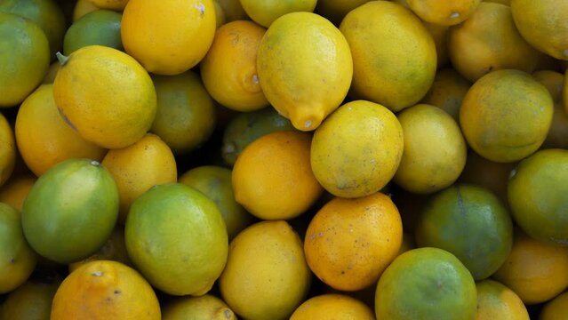 4K video with rotation. Showcase of fruit shop with citrus fruits. Box of fresh raw juicy sour yellow lemons and green limes. Grocery store counter. Concept of buying farm food at street market. Diet