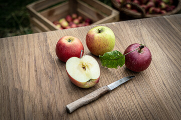 Nahaufnahme von Äpfeln auf einen Holzbrett, Holzkiste und Korb mit gepflückten Obst im Hintergrund.