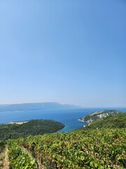 Kroatien Natur  - 640023673
