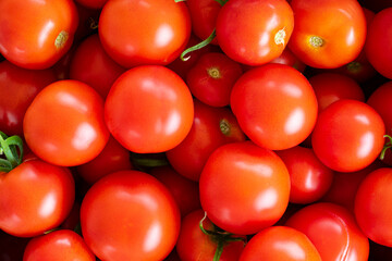 home tomatoes, different varieties from home garden - real photo