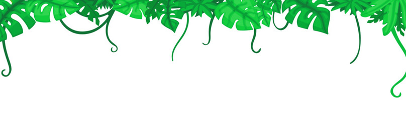 Green tropical leaves, jungle cartoon leaf banner, Empty exotic frame, decorative tropical forest foliage vector background © LadadikArt