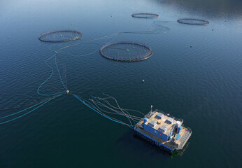 Fish farm salmon round nets in natural environment Loch Fyne Arygll and Bute Scotland