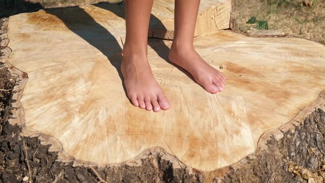 Child legs on stump in forest. A view of child bare legs resting in the sun light on the wood stump in summer. A concept of enjoy time in the forest.