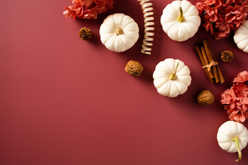 Obraz na płótnie Canvas Flat lay composition with white decorative pumpkins, fall decor, walnuts, flowers on dark red table, top view. Autumn, fall, Thanksgiving day concept.