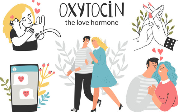 Love hormone, oxytocin hormone health colorful vector illustration