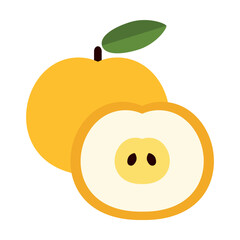 Sweet apple cut in half. Delicious, healthy nutritious food cartoon illustration. Fruits concept. Colored flat vector isolated on white background