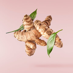 Fresh turmeric root falling in the air isolated