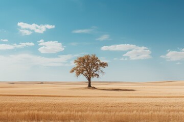 a lonely tree in a wheat field during fall harvest, Stunning Scenic World Landscape Wallpaper Background