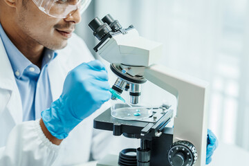 Asian male scientists white coat conducting research investigations medical laboratory, lab bacteria, microbiology laboratory public health, animal health, Aerobes, anaerobes, mycobacteria and fungi