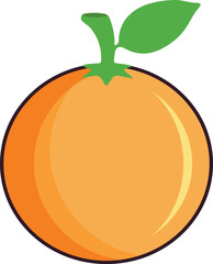 Orange Fruit Vector Art design