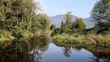 Tranquil river surrounded by green environment