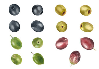 Green, black, red olives set isolated on white background. Watercolor hand drawn botanical illustration. Can be used for menu, product package and food design