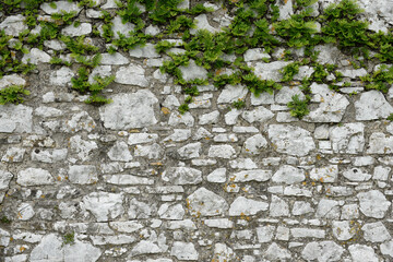 Stone wall with plants growing in the cracks and copy space below