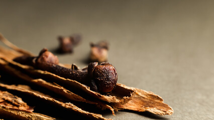 Close-up detail of cinnamon, clove, and star anise on a gray background. Selective focus, macro shot.