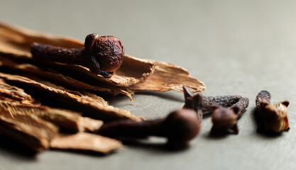 Close-up detail of cinnamon, clove, and star anise on a gray background. Selective focus, macro shot.