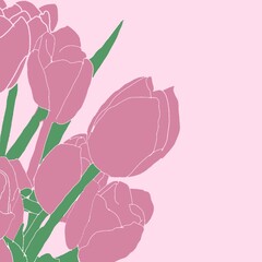 pink rose on pink background