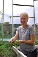 happy woman gardener harvesting greenery at her greenhouse at summer