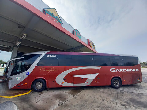 Gardenia bus at stopping point at day
