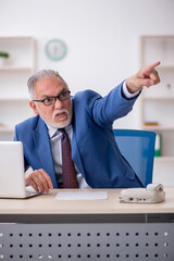 Old male employee working in the office