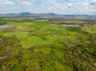 Drone shot of the bright green flooded grasslands of the Pantanal in Brasil, the world's largest...