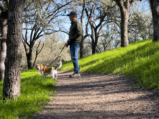 Man with ball cap and jeans standing in middle of dirt path with small, cute beagle on leash, looking at the camera - Powered by Adobe