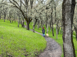 Woman walking down dirt path with dog on leash in wooded forest and green hills
