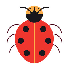 Black and red ladybug. Cute wild animals cartoon illustration. Insects concept. Colored flat vector isolated on white background