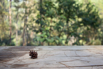 Pine cones on blank wooden board with blurry pine forest on the background