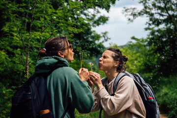 Two adult girl friends have fun and blow dandelions in each other's face. Spring fun of happy...