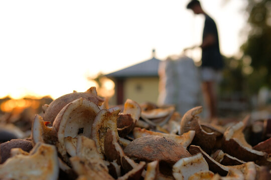 Process of drying copra from dried coconut