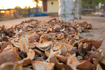 Process of drying copra from dried coconut