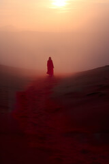 Female figure in morning light in the desert in reddish tones. Foggy and misty landscape in arid and lonely desert. Loneliness and lost concept.