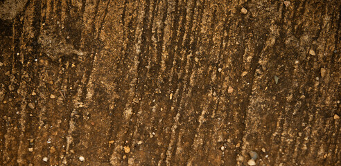 Old texture background. Floor surface. Brown wood texture background.