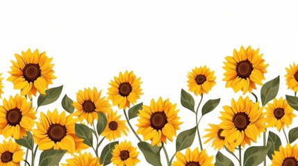 Design template of sunflowers
