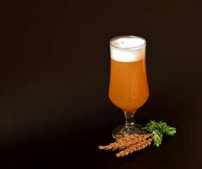 A glass of fresh wheat beer with high white foam on a black background, next to the ears of cereals...