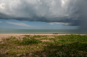 old log on the sandy beach. turquoise sea interspersed with rain clouds, It's raining in the sea. landscape.