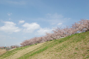 spring in the spring