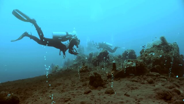 Group of divers exploring the seabed